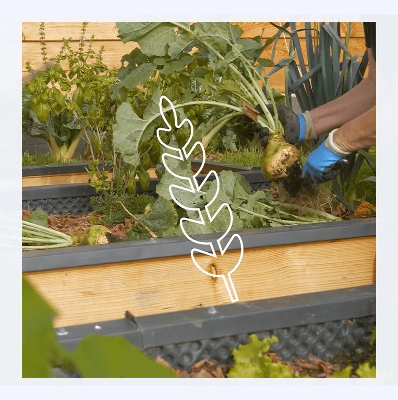 SUGI – Water–Energy–Food Nexus